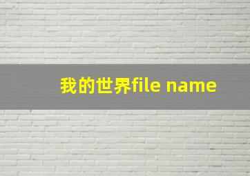 我的世界file name